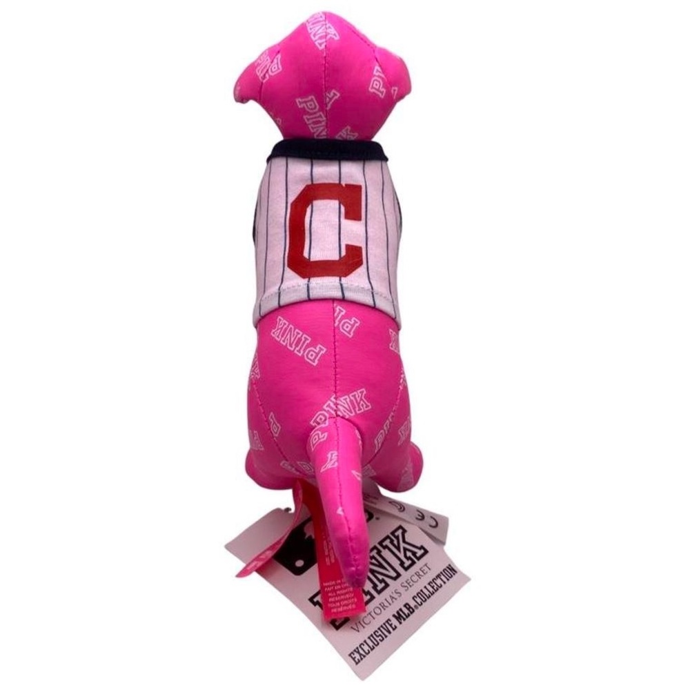 3rd Cleveland Indians